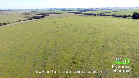 IMAGEM FIXA NA COXILHA.00_02_32_18.Quadro021_85157c6f0ed0cb4c032de6222acdaee94188a7c8.jpg